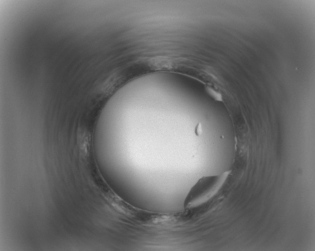 X0000066930125200604071856