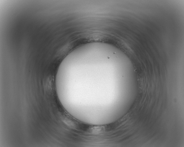 X0000066930126200604071856