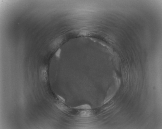 X0000066930127200604071856