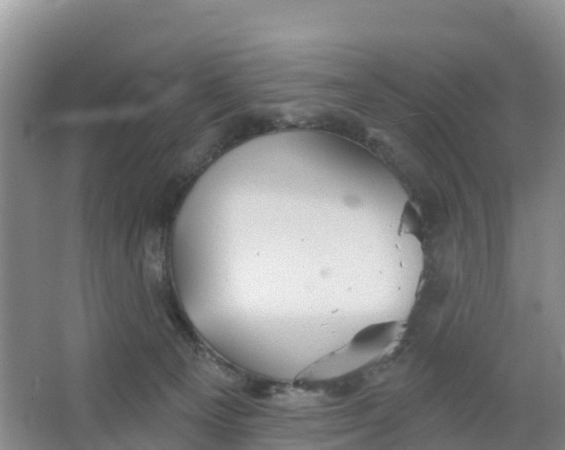 X0000066930129200604071856