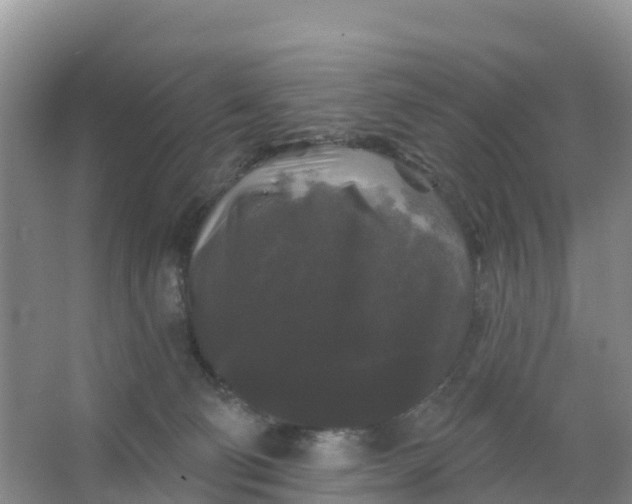 X0000066930130200604071856