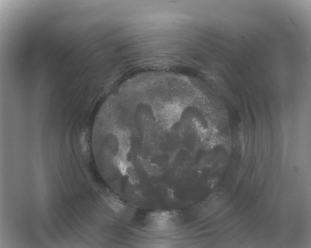 X0000066930131200604071856