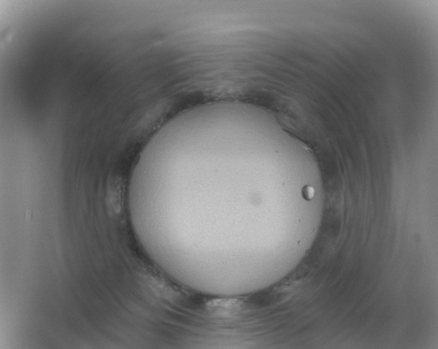 X0000066930133200604071856