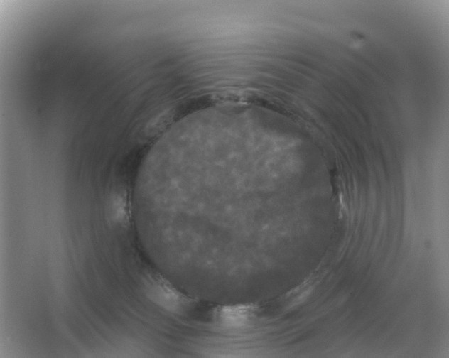 X0000066930134200604071856