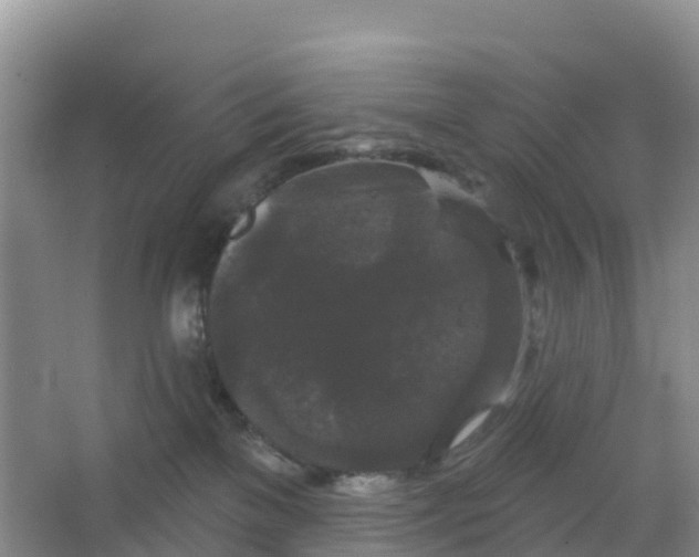 X0000066930137200604071856