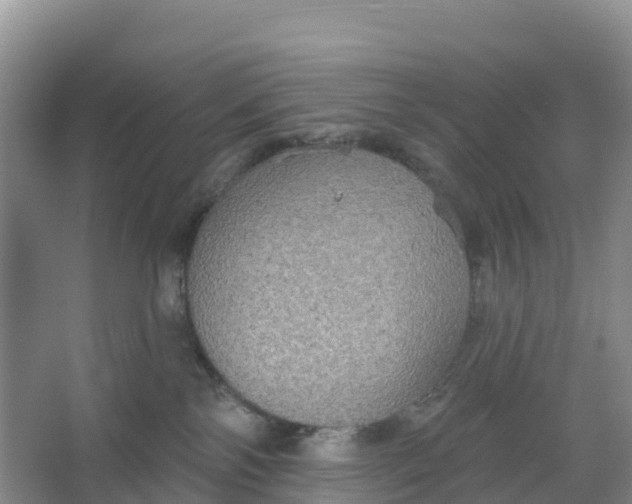 X0000066930138200604071856