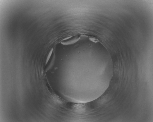 X0000066930139200604071856