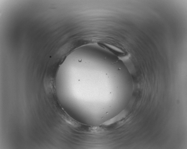 X0000066930141200604071856