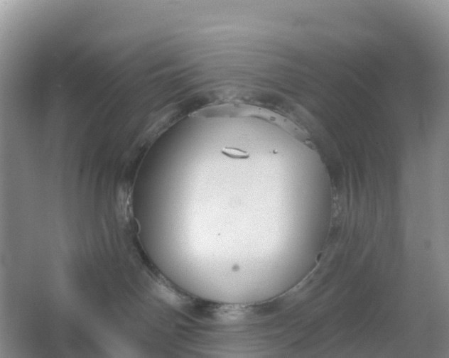 X0000066930142200604071856