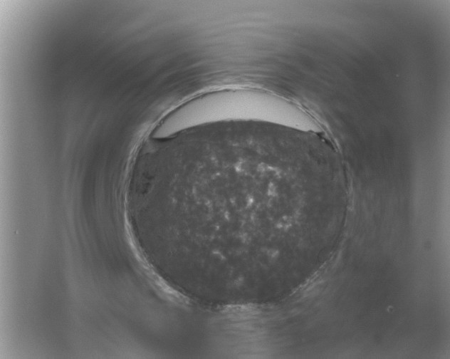 X0000066930145200604071855