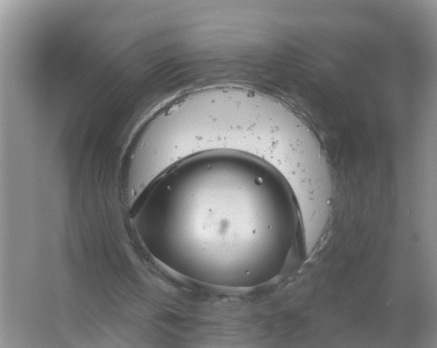 X0000066930146200604071855