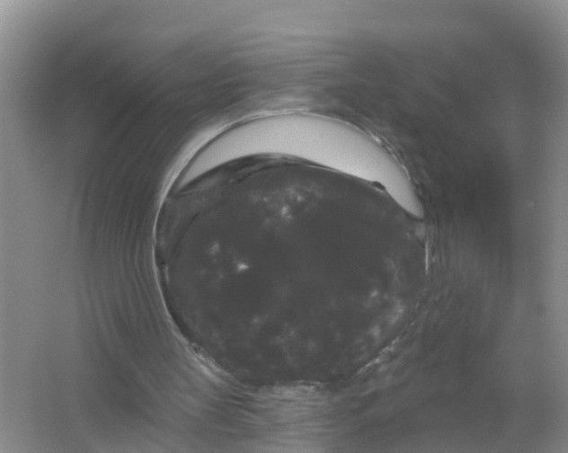 X0000066930147200604071855