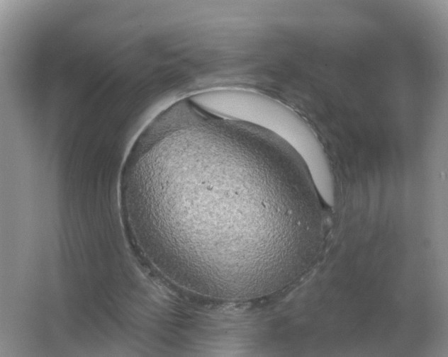 X0000066930148200604071855