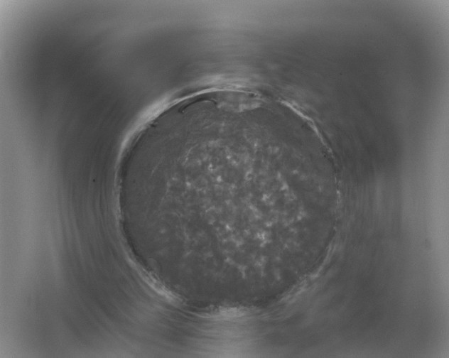 X0000066930149200604071855