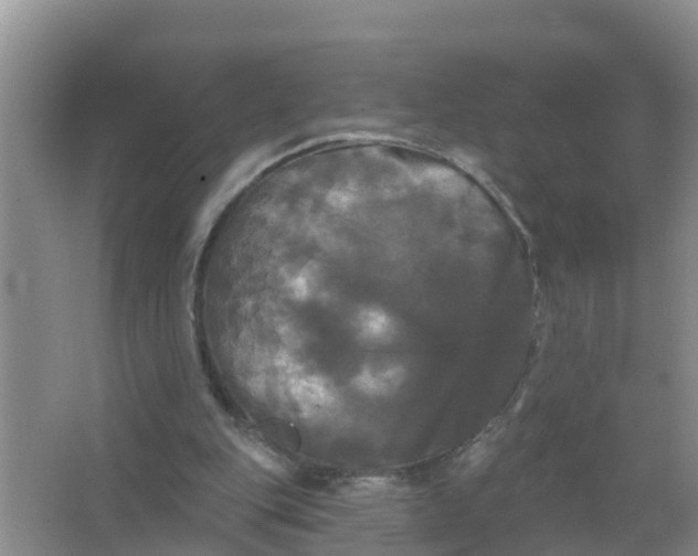 X0000066930151200604071855