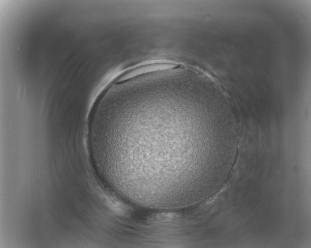 X0000066930152200604071855