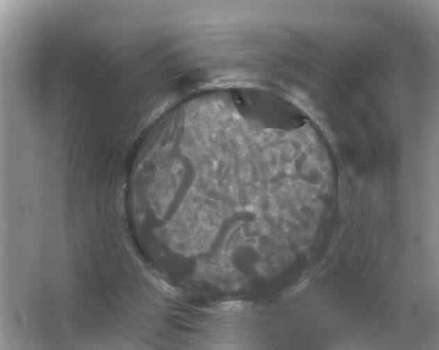 X0000066930153200604071855