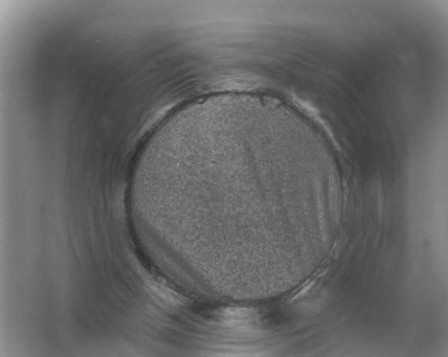 X0000066930154200604071855