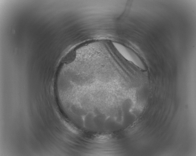 X0000066930155200604071855