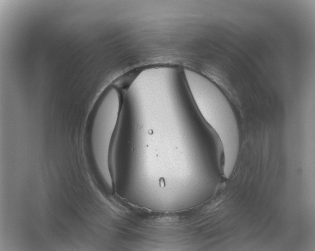 X0000066930156200604071855