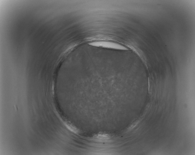 X0000066930157200604071855