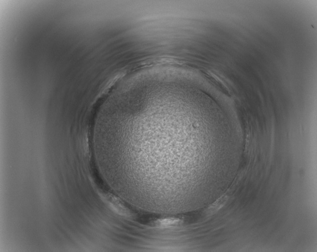 X0000066930158200604071855