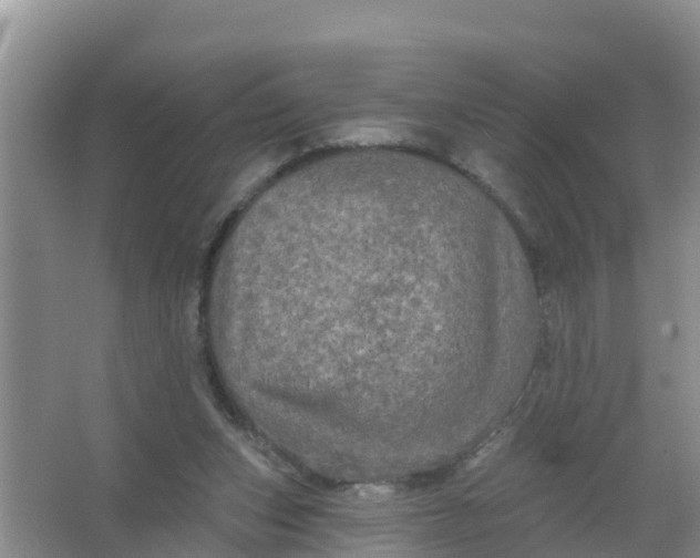 X0000066930159200604071855