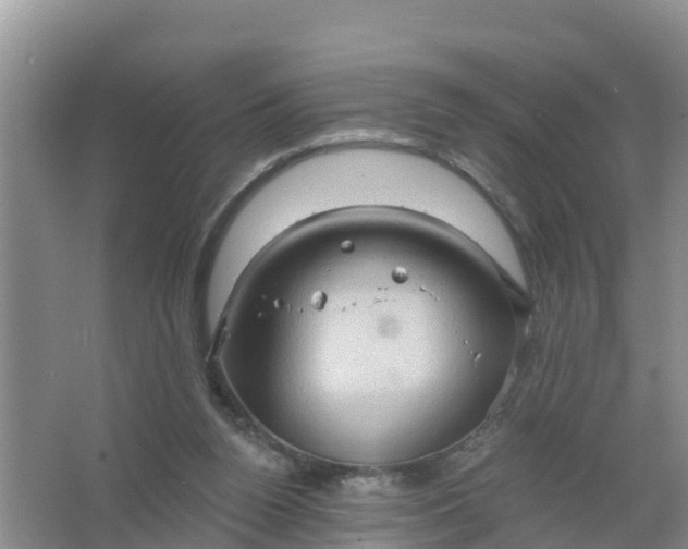 X0000066930160200604071855