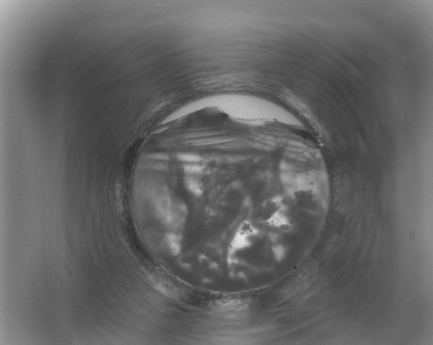 X0000066930161200604071855