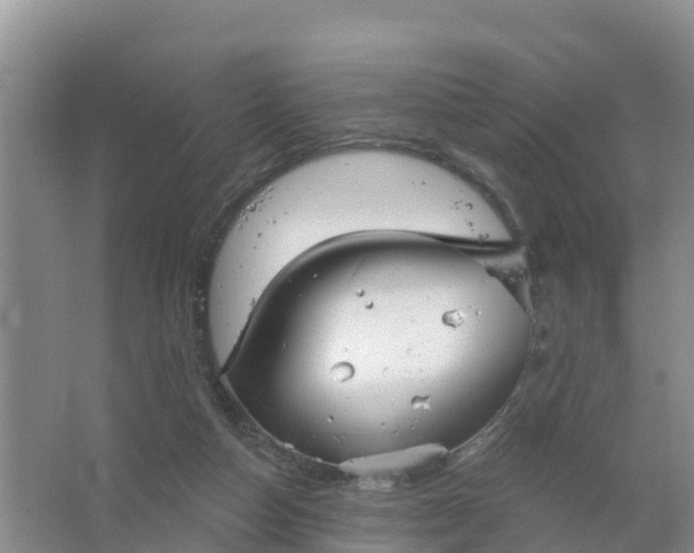 X0000066930162200604071855