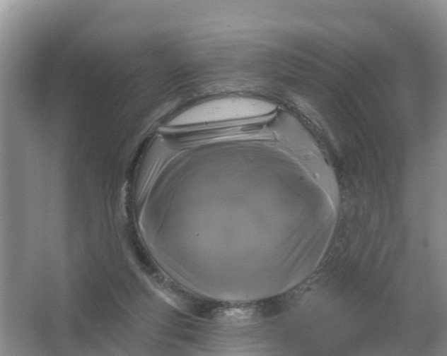 X0000066930163200604071855