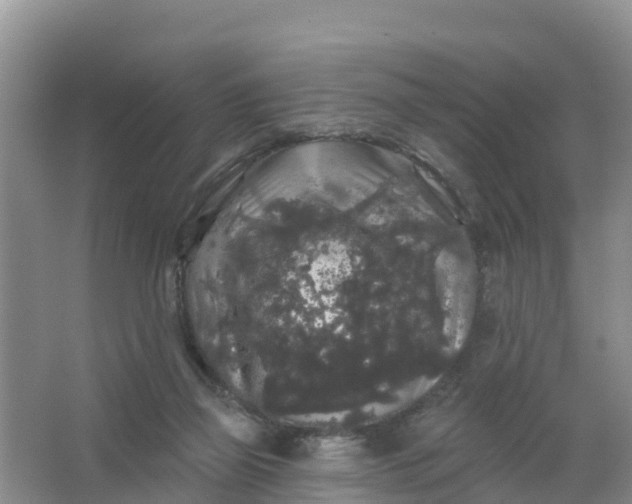 X0000066930165200604071855