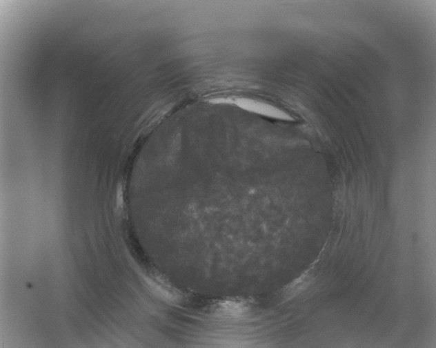 X0000066930166200604071855