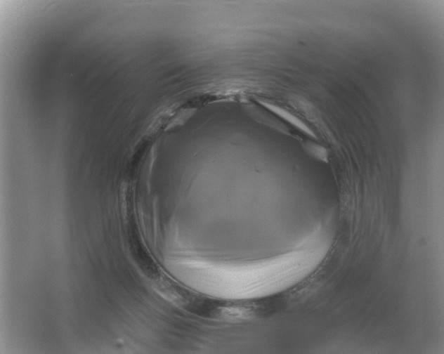 X0000066930167200604071855