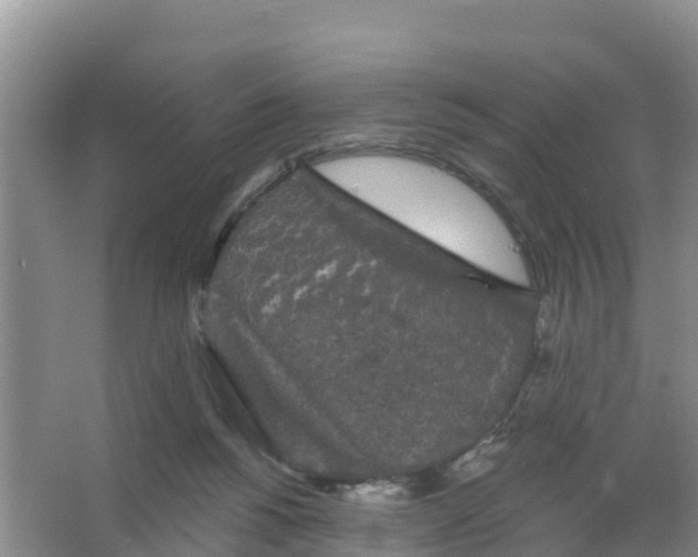 X0000066930168200604071855