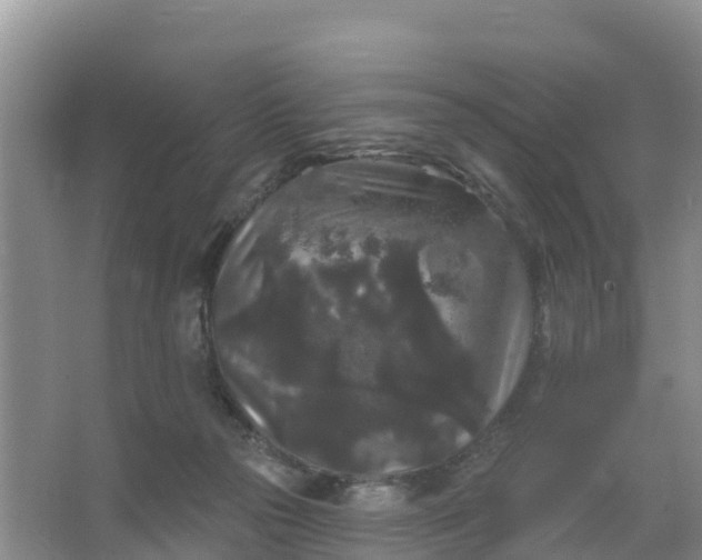 X0000066930169200604071855