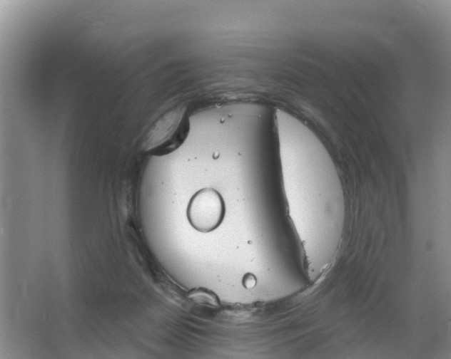 X0000066930170200604071855