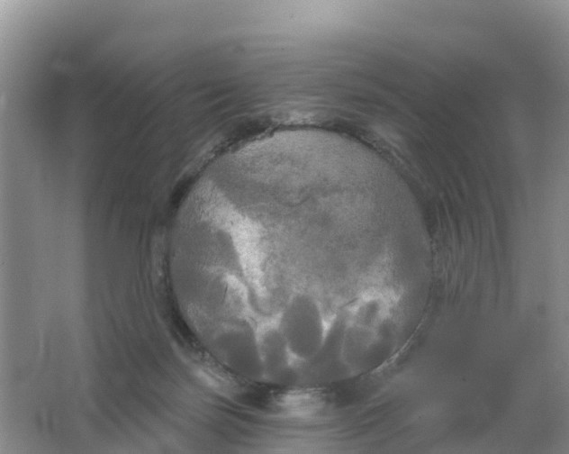 X0000066930171200604071855