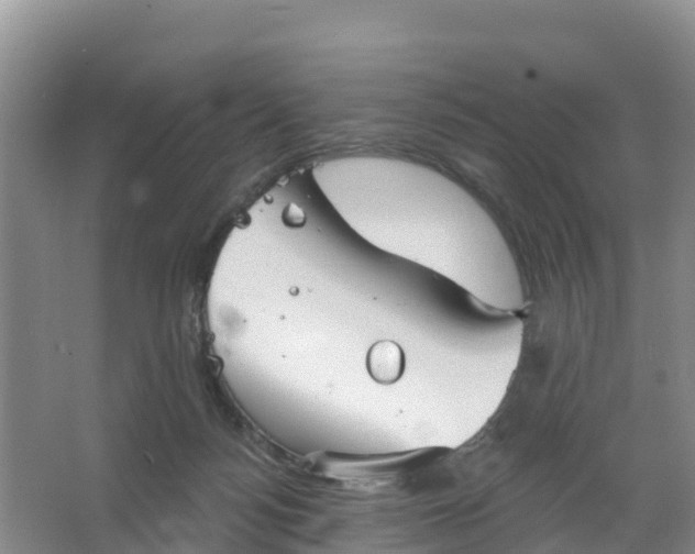 X0000066930172200604071855