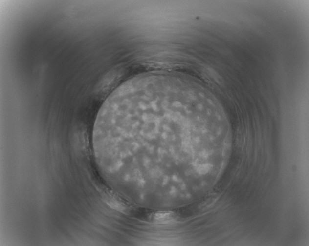 X0000066930173200604071855