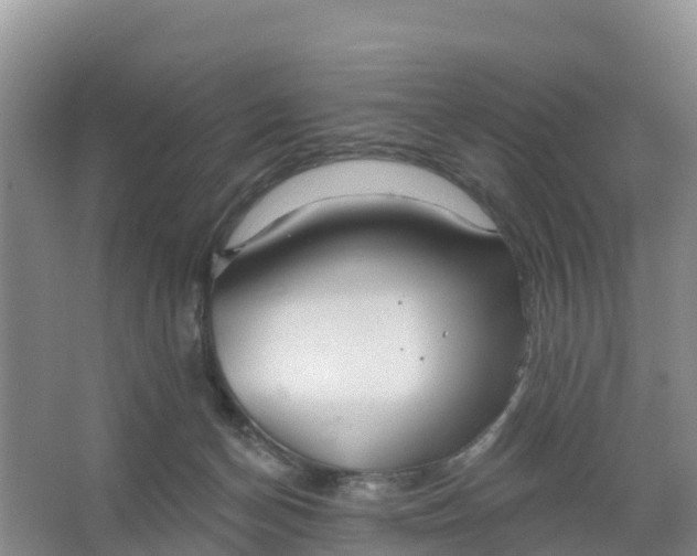 X0000066930174200604071855