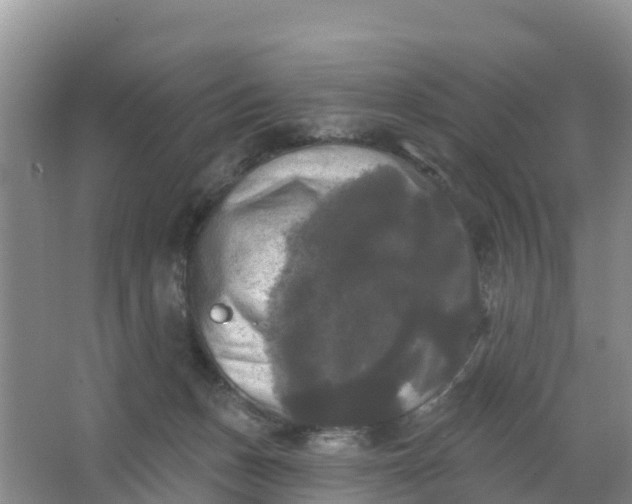 X0000066930175200604071855