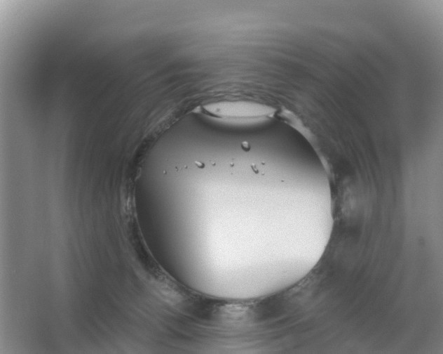 X0000066930176200604071856