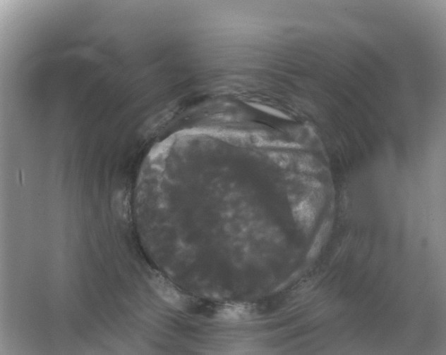 X0000066930177200604071856