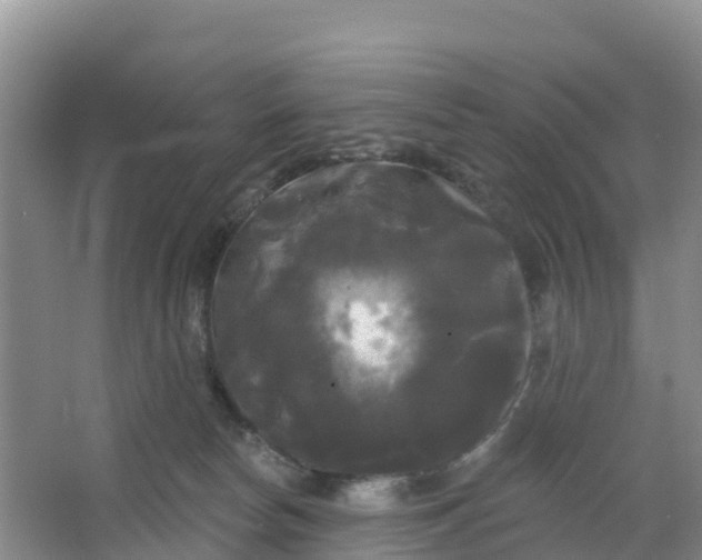 X0000066930178200604071856