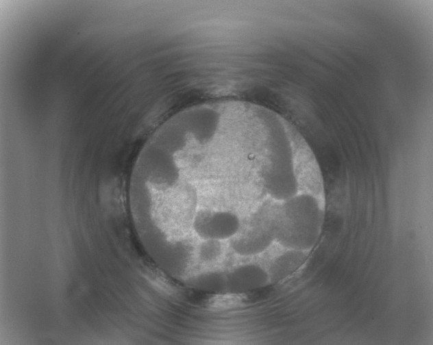 X0000066930179200604071856