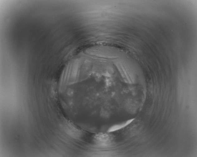 X0000066930181200604071856