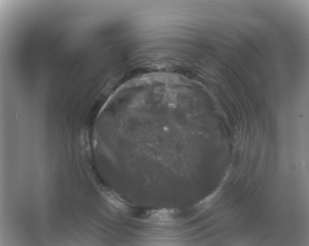 X0000066930182200604071856