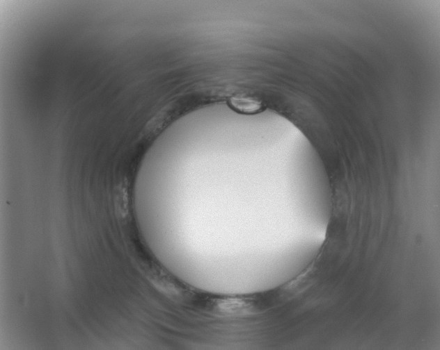 X0000066930183200604071856