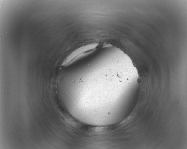 X0000066930184200604071856